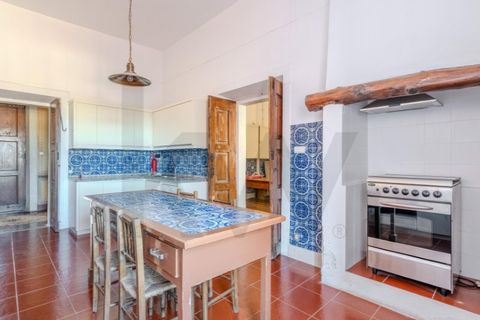Farm i Anadia, Aveiro, Anadia - € 8.026.000 | Ref: KWPT-022283 - foto 30