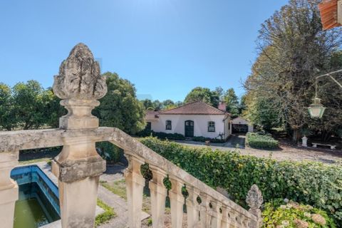 Farm i Anadia, Aveiro, Anadia - € 8.026.000 | Ref: KWPT-022283 - foto 32