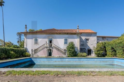 Farm i Anadia, Aveiro, Anadia - € 8.026.000 | Ref: KWPT-022283 - foto 33