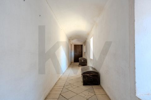 Farm i Anadia, Aveiro, Anadia - € 8.026.000 | Ref: KWPT-022283 - foto 43
