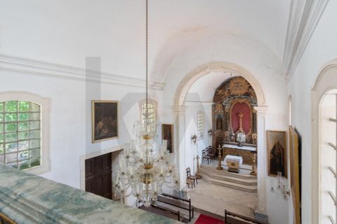 Farm i Anadia, Aveiro, Anadia - € 8.026.000 | Ref: KWPT-022283 - foto 44