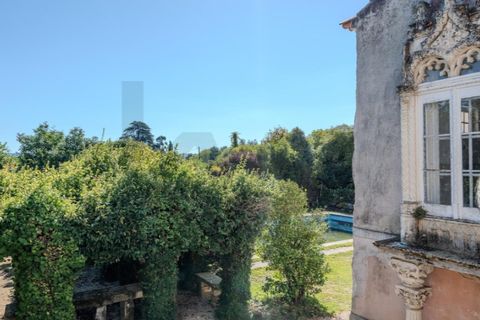 Farm i Anadia, Aveiro, Anadia - € 8.026.000 | Ref: KWPT-022283 - foto 48