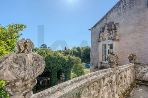 Farm i Anadia, Aveiro, Anadia - € 8.026.000 | Ref: KWPT-022283 - foto 49