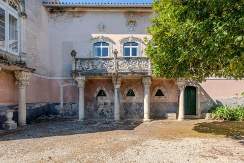 Farm i Anadia, Aveiro, Anadia - € 8.026.000 | Ref: KWPT-022283 - foto 50