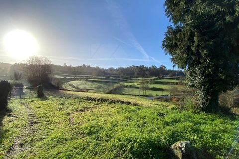 Herregård i Bico e Cristelo, Viana do Castelo, Bico e Cristelo - € 85 000 | Ref: MDS4211 - foto 10