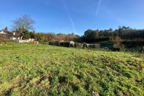 Herregård i Bico e Cristelo, Viana do Castelo, Bico e Cristelo - € 85 000 | Ref: MDS4211 - foto 11