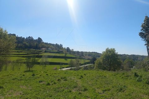 Herregård i Bico e Cristelo, Viana do Castelo, Bico e Cristelo - € 85 000 | Ref: MDS4211 - foto 12