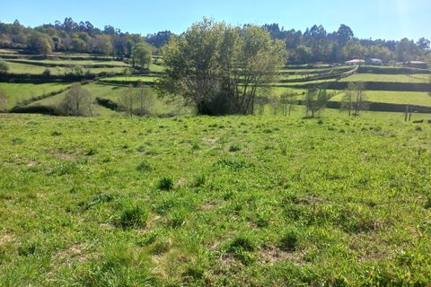 Herregård i Bico e Cristelo, Viana do Castelo, Bico e Cristelo - € 85 000 | Ref: MDS4211 - foto 13