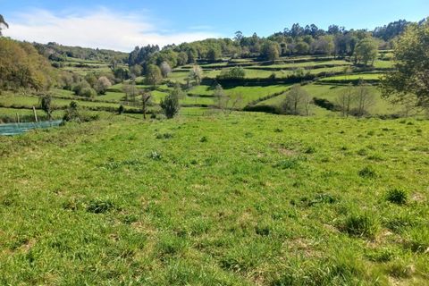 Herregård i Bico e Cristelo, Viana do Castelo, Bico e Cristelo - € 85 000 | Ref: MDS4211 - foto 14