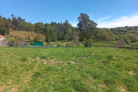 Herregård i Bico e Cristelo, Viana do Castelo, Bico e Cristelo - € 85 000 | Ref: MDS4211 - foto 15