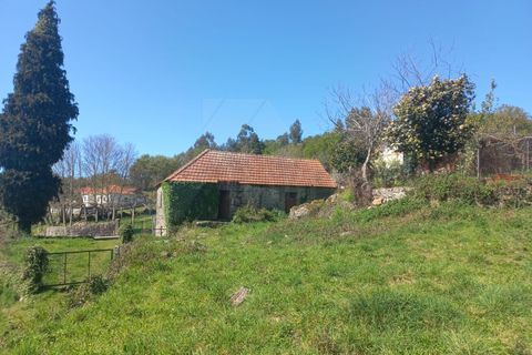 Herregård i Bico e Cristelo, Viana do Castelo, Bico e Cristelo - € 85 000 | Ref: MDS4211 - foto 17