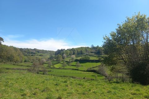Herregård i Bico e Cristelo, Viana do Castelo, Bico e Cristelo - € 85 000 | Ref: MDS4211 - foto 18
