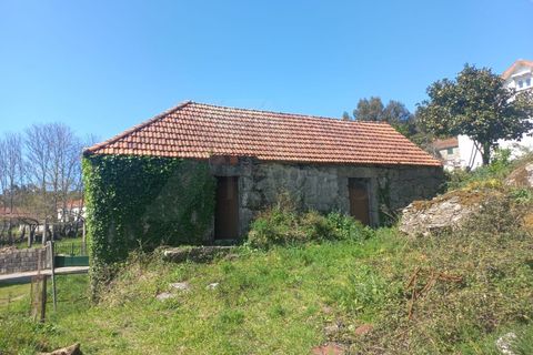 Herregård i Bico e Cristelo, Viana do Castelo, Bico e Cristelo - € 85 000 | Ref: MDS4211 - foto 19