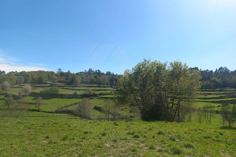 Herregård i Bico e Cristelo, Viana do Castelo, Bico e Cristelo - € 85 000 | Ref: MDS4211 - foto 20