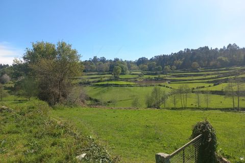 Herregård i Bico e Cristelo, Viana do Castelo, Bico e Cristelo - € 85 000 | Ref: MDS4211 - foto 22