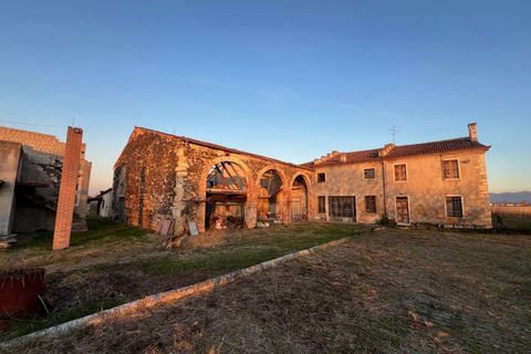 Landejendom i Lonigo, Vicenza, Lonigo - € 300.000 | Ref: 1150 - foto 2