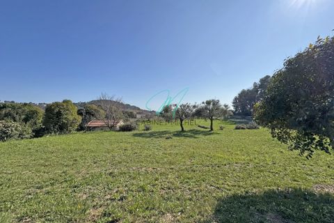 Helårsgrund i Grasse, Alpes-Maritimes, Grasse - € 995.000 | Ref: 86601246 - foto 5