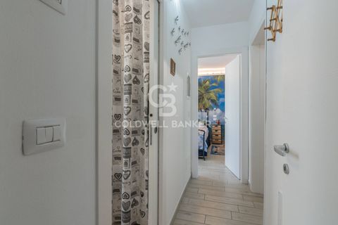 Villa i Misano Adriatico, Rimini, Misano Adriatico - € 695.000 | Ref: CBI099-1528-520771 - foto 40