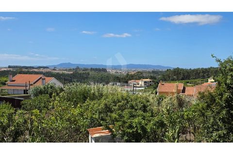 Ruinere i Mafra, Lisbon, Mafra - € 156.000 | Ref: L23598 - foto 7