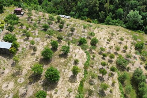 Helårsgrund i Vence, Alpes-Maritimes, Vence - € 110.000 | Ref: 85969274 - foto 2
