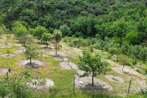 Helårsgrund i Vence, Alpes-Maritimes, Vence - € 110.000 | Ref: 85969274 - foto 3