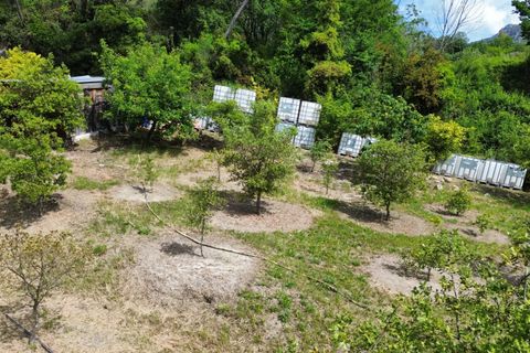 Helårsgrund i Vence, Alpes-Maritimes, Vence - € 110.000 | Ref: 85969274 - foto 5