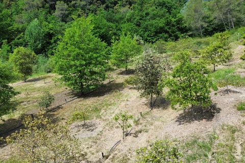 Helårsgrund i Vence, Alpes-Maritimes, Vence - € 110.000 | Ref: 85969274 - foto 6