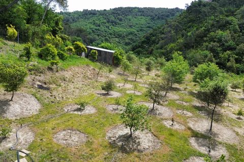 Helårsgrund i Vence, Alpes-Maritimes, Vence - € 110.000 | Ref: 85969274 - foto 7