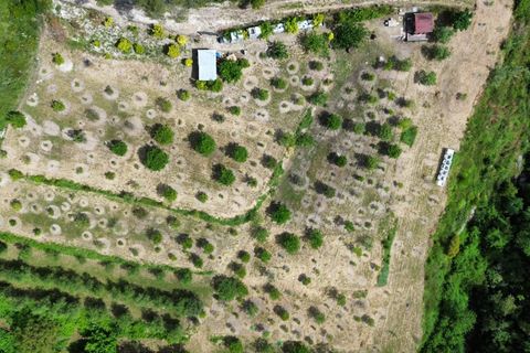 Helårsgrund i Vence, Alpes-Maritimes, Vence - € 110.000 | Ref: 85969274 - foto 9