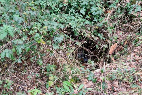 Helårsgrund i Altillac, Correze, Altillac - € 25.000 | Ref: FACEC31A421D4CA5 - foto 2