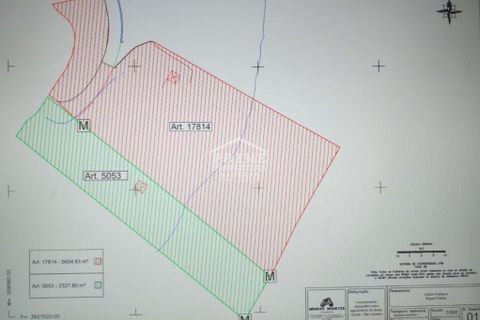Helårsgrund i Sao Vincente, Madeira, Sao Vincente - € 290.000 | Ref: #1466 - foto 4
