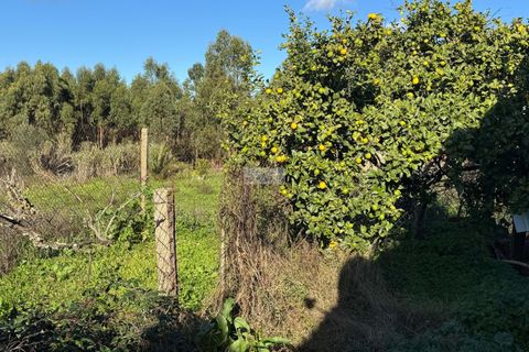 Farm hus i Lagos, Faro, Lagos - € 650.000 | Ref: Q0091 - foto 9