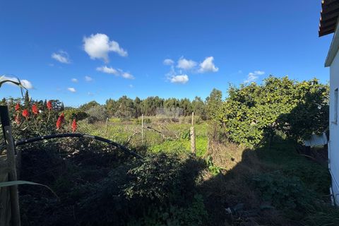 Farm hus i Lagos, Faro, Lagos - € 650.000 | Ref: Q0091 - foto 10