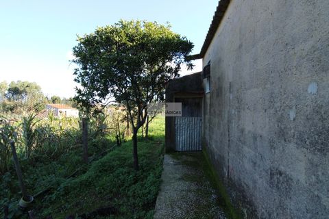 Farm hus i Lagos, Faro, Lagos - € 650.000 | Ref: Q0091 - foto 15