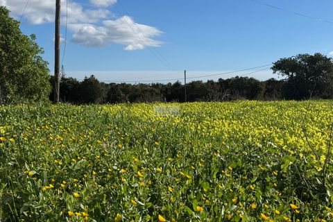Farm hus i Lagos, Faro, Lagos - € 650.000 | Ref: Q0091 - foto 17