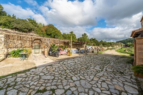 Villa i Son Servera, Mallorca, Son Servera - € 945.000 | Ref: 15RKTM025/3010 - foto 22