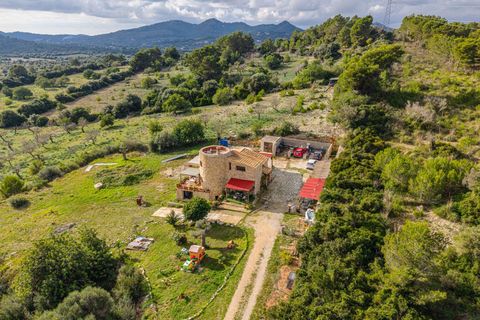 Villa i Son Servera, Mallorca, Son Servera - € 945.000 | Ref: 15RKTM025/3010 - foto 31