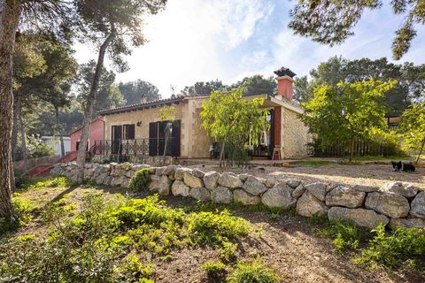 Villa em Cala Vinyes, Mallorca, Cala Vinyes - € 1.740.000 | Ref: 2303863 - foto 21