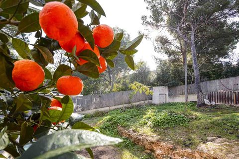 Villa em Cala Vinyes, Mallorca, Cala Vinyes - € 1.740.000 | Ref: 2303863 - foto 23