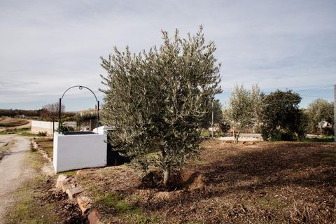 Villa i Don Benito, Badajoz, Don Benito - € 80.000 | Ref: 13865-MVR/2912 - foto 17