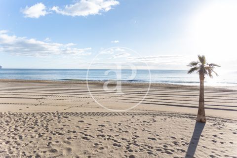 Terra a Calpe, Alicante, Calpe - € 895.000 | Ref: VV2601038 - foto 10