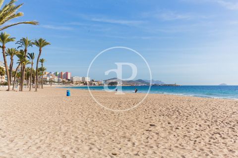 Terra a Calpe, Alicante, Calpe - € 895.000 | Ref: VV2601038 - foto 12