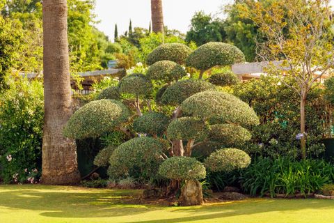 Villa i Sotogrande, Cadiz, Sotogrande - € 2.580.000 | Ref: R5070559 - foto 40
