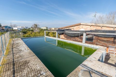 Villa i Deltebre, Tarragona, Deltebre - € 119.000 | Ref: FZD3399/6931 - foto 19