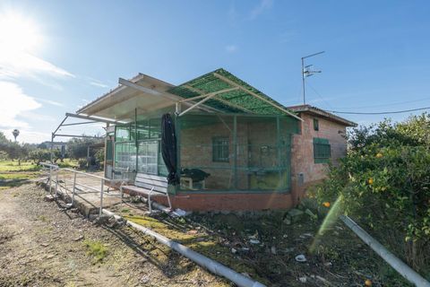 Villa i Deltebre, Tarragona, Deltebre - € 119.000 | Ref: FZD3399/6931 - foto 20