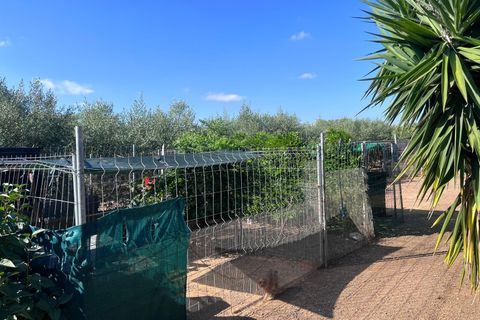 Landejendom i Reus, Tarragona, Reus - € 344.900 | Ref: EXP12651/8930 - foto 32