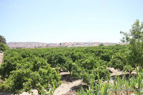 Lejlighed i Benijofar, Alicante, Benijofar - € 410.000 | Ref: N-7247025 - foto 8
