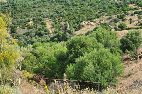 Terreno Casares, Malaga - foto 1