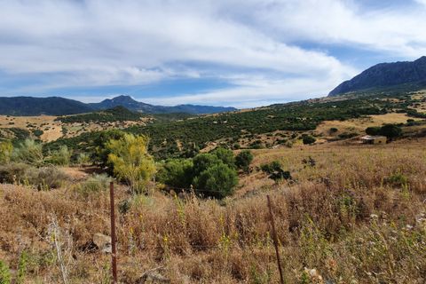 Terreno Casares, Malaga - foto 3