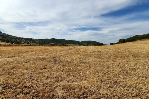 Helårsgrund i Casares, Malaga, Casares - € 325.000 | Ref: R5286859 - foto 6